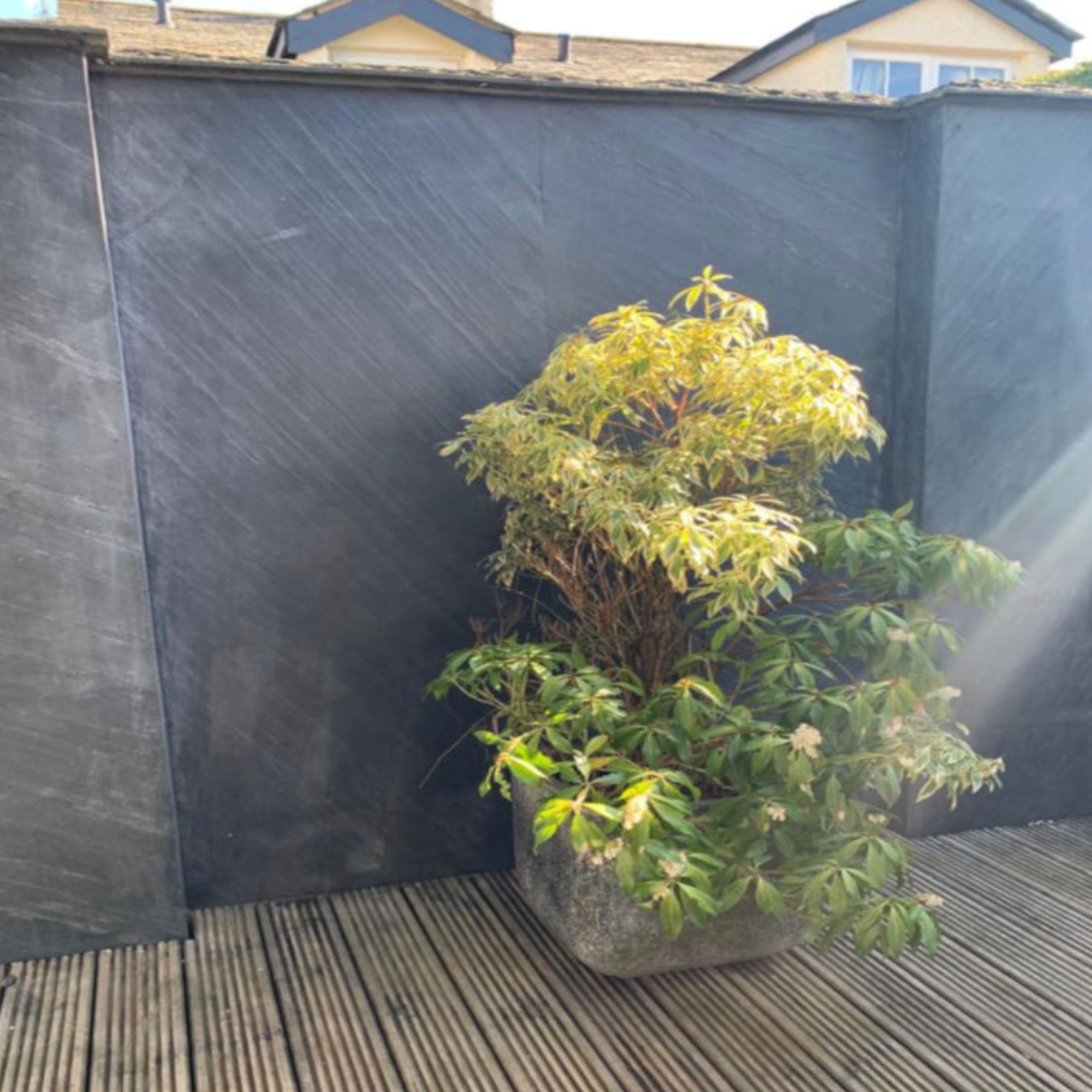 VeloStone™ Line Black Natural Stone Wall Panel - 290cmx122cm